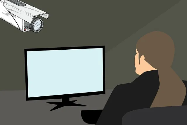 Czy warto mieć monitoring w domu?
